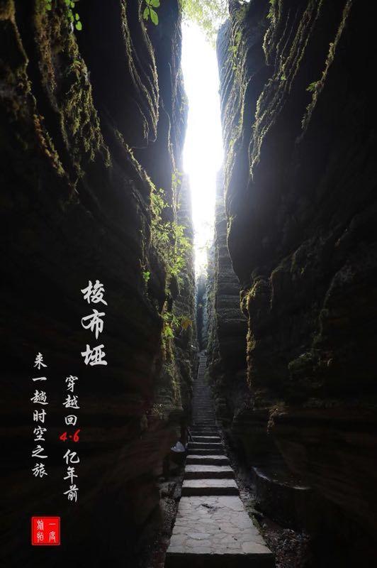 荣誉勋章