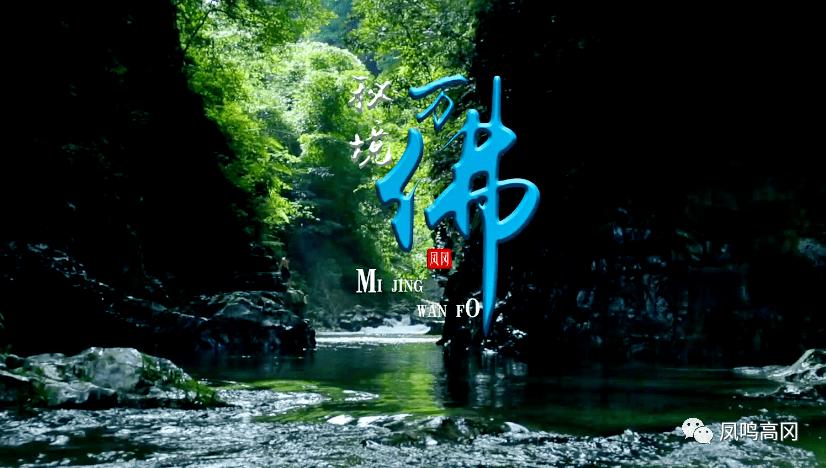 wps这个怎么解决,求-专业问答平台,解决您的疑问