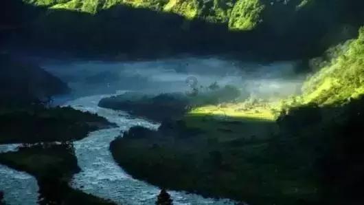 呆萌动物对对碰