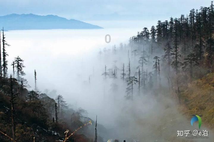 拯救精灵的土地6