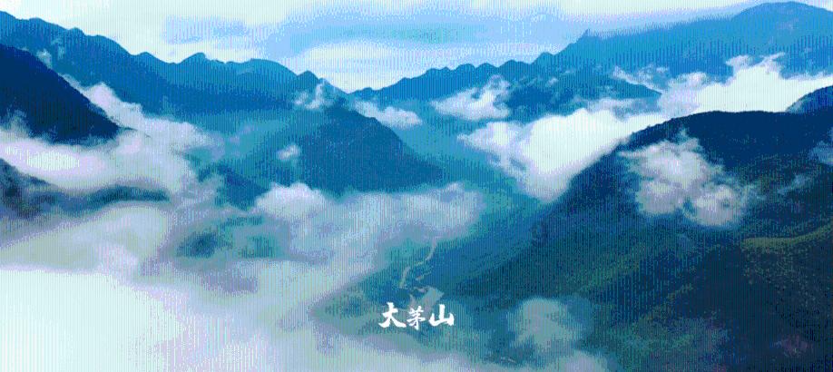 林清雪京都大学是哪部小说人物