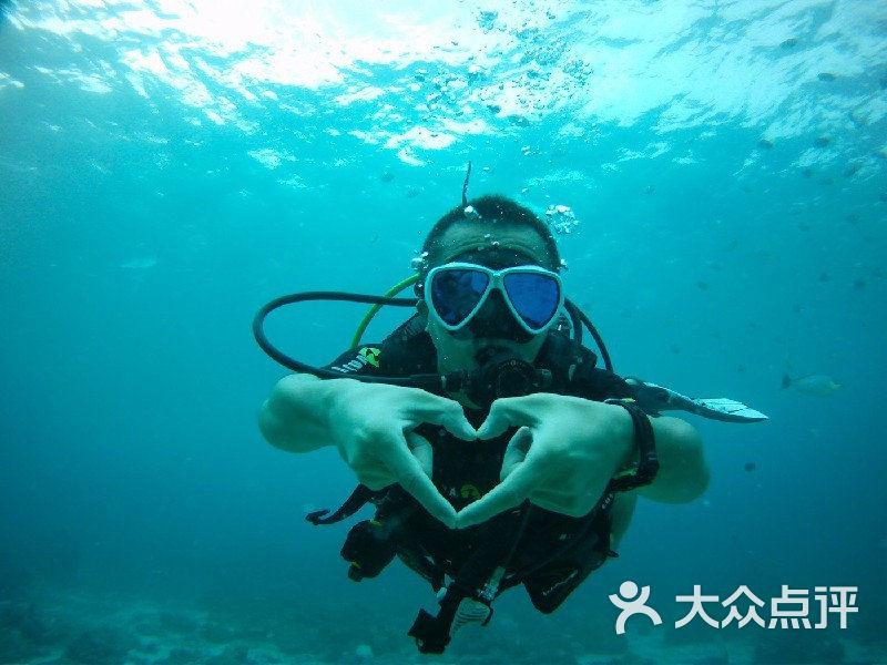 拯救小萌虎