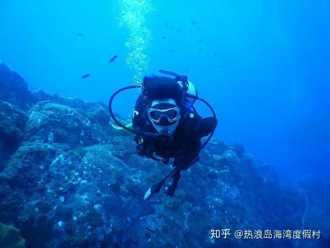 孩子经常生病，好像免疫力不太好，吃哪些营养品好呢？游戏画面