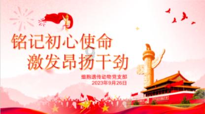 神秘的午夜