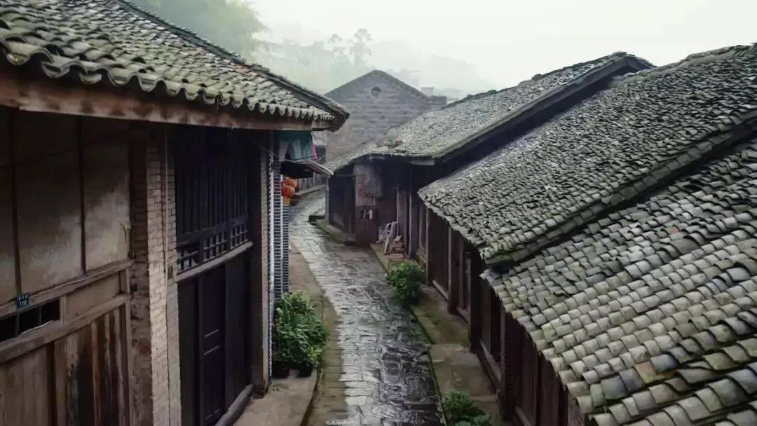 英格兰名宿特里在接受采访时,展望了今夏欧洲杯和本赛季的欧冠天博